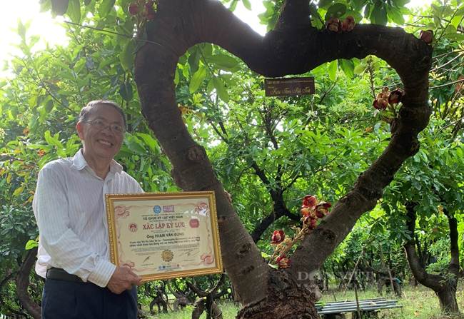 Ninh Thuận: "Ngôi làng tĩnh tâm" độc đáo trồng 500 cây sala lạ mắt mang hình dáng theo triết lý Phật giáo