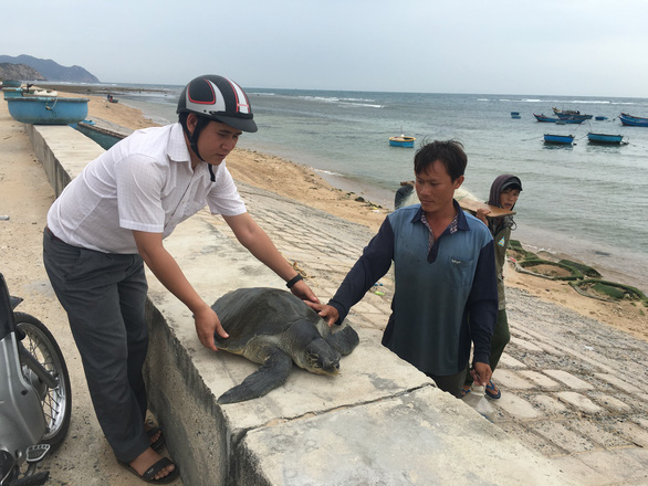 Núi Chúa - rừng thiêng huyền bí - Kỳ 3: Ngủ đêm bên biển canh rùa đẻ