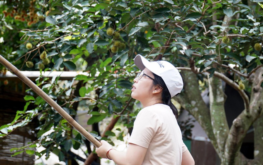 Du khách thích thú trải nghiệm hái trái cây, ăn tại vườn ở Ninh Thuận