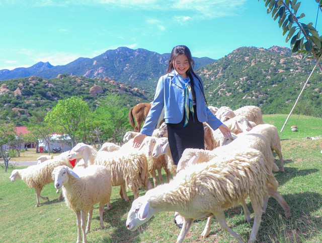 Độc đáo cừu diễu hành chào đón năm mới