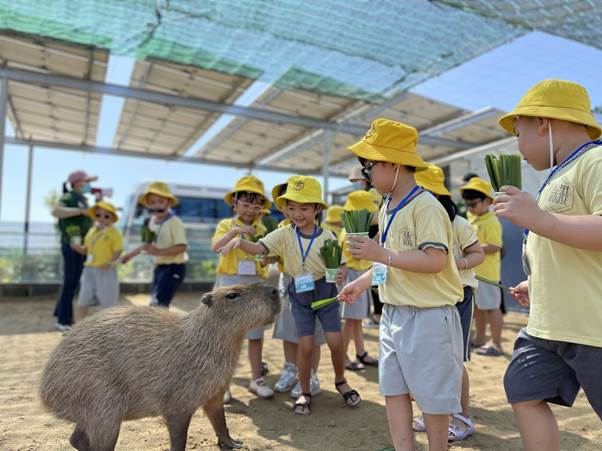 Ninh Thuận: Zoo Doo Phan Rang được công nhận là điểm du lịch