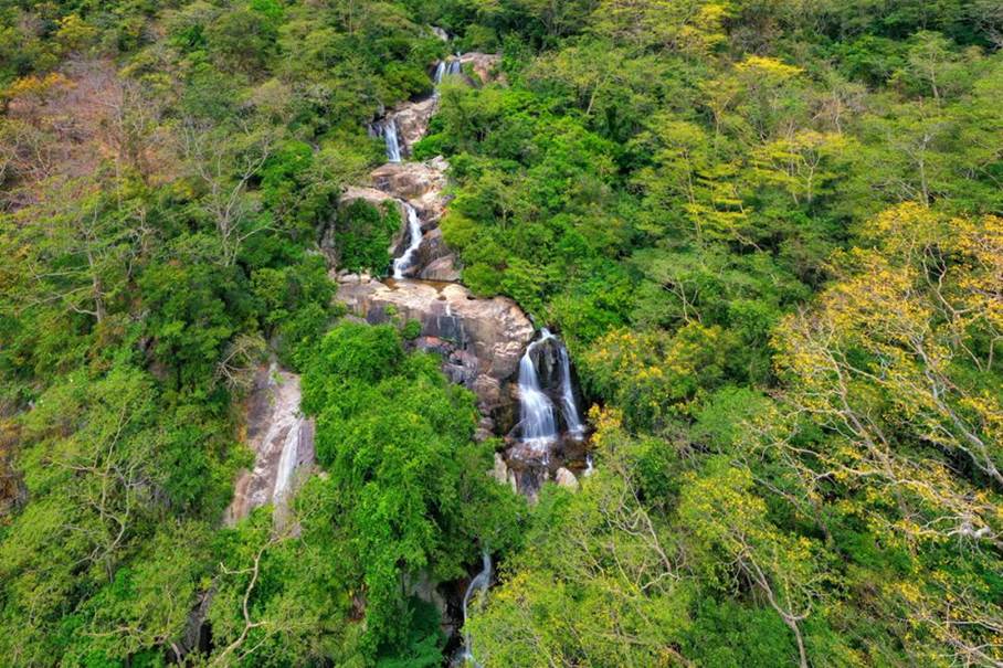 Cẩm nang du lịch Ninh Thuận