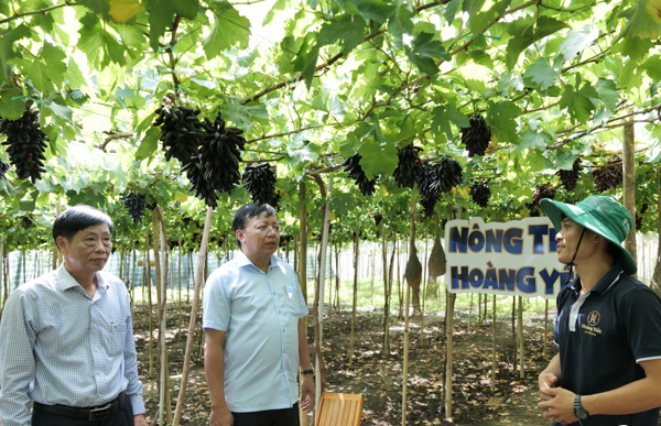 Ninh Thuận: Bắt đầu ‘Bình chọn các sản phẩm OCOP được yêu thích’ năm 2023
