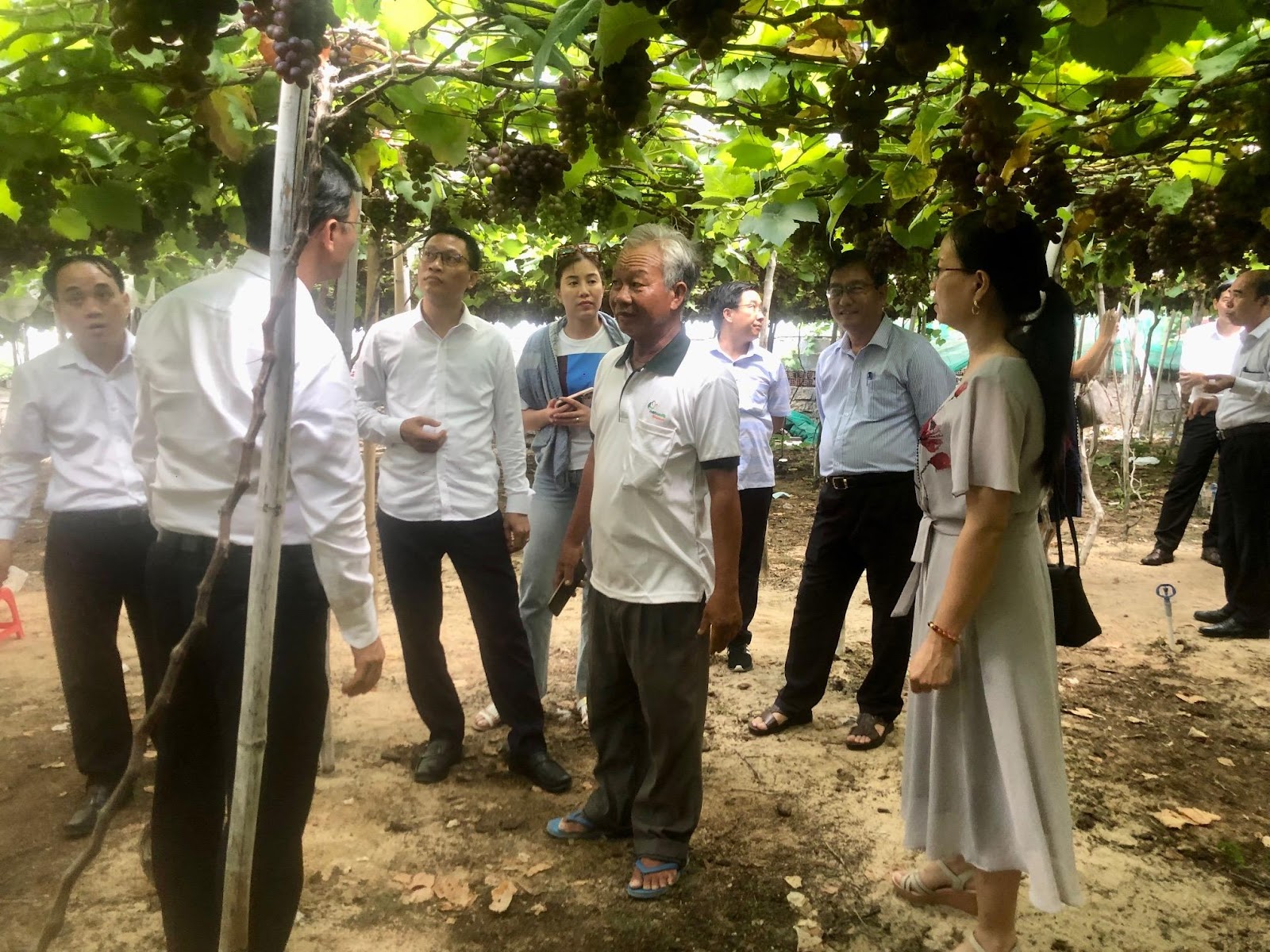 Đoàn Tỉnh ủy Vĩnh Phúc tham quan các điểm du lịch tại Ninh Thuận