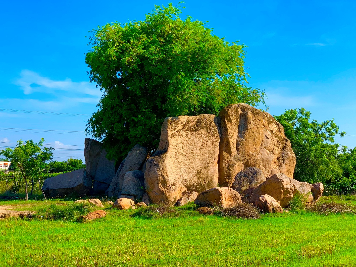 Discover the beauty of ancient Champa inscriptions