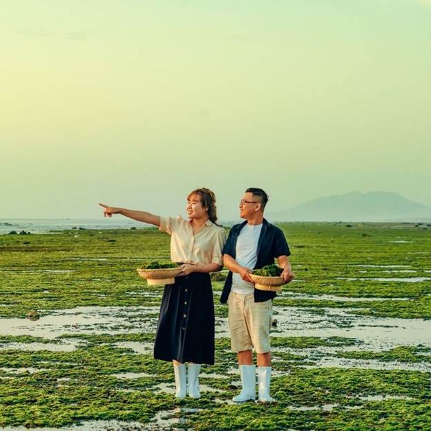 Cánh đồng rong biển ở Phan Rang đẹp tựa phim Hàn – điểm đến ‘siêu hot’ được giới trẻ săn lùng