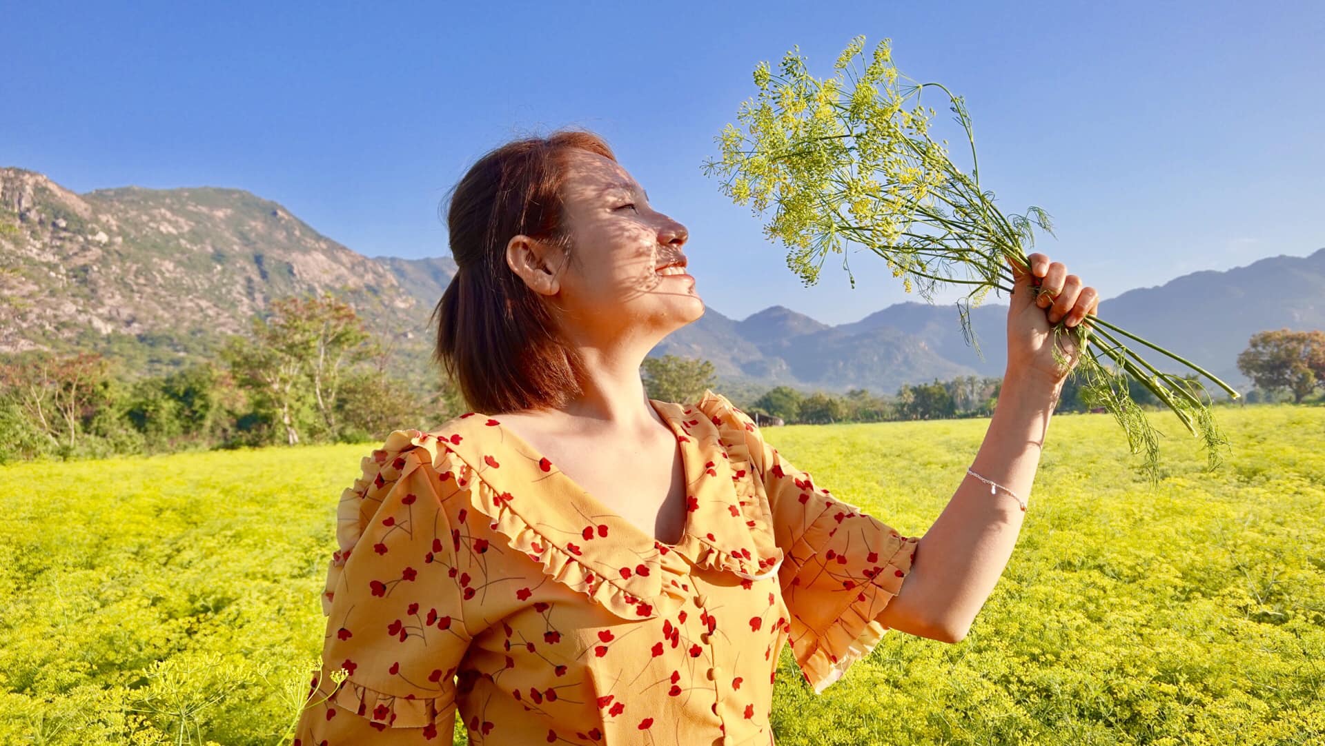 Vườn Hoa Thì là - Vẻ đẹp bước ra từ chuyện cổ tích