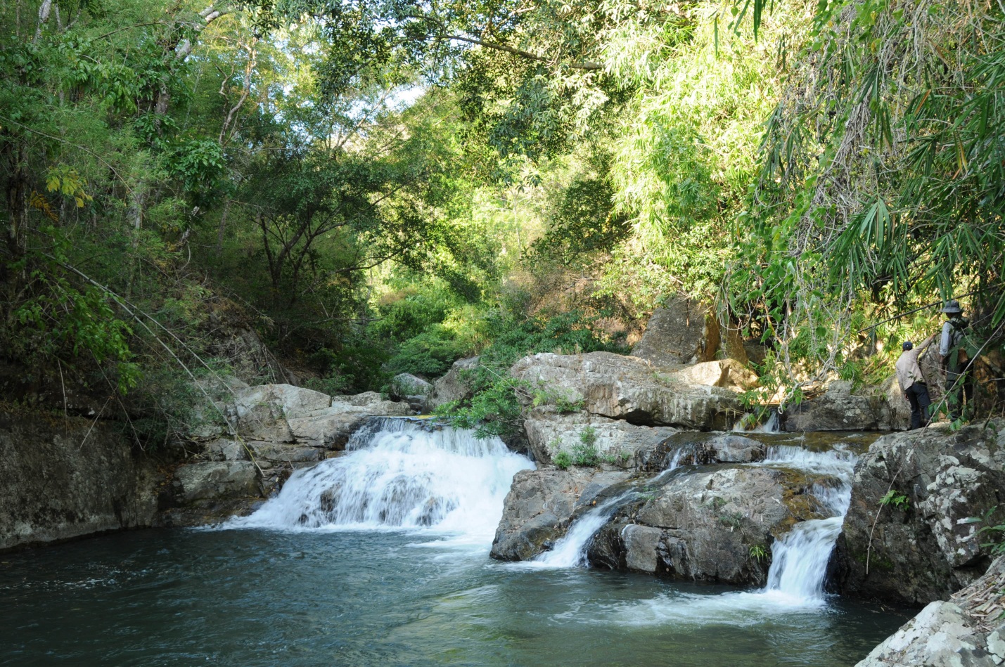 Khám phá vùng đất mới Vườn quốc gia Phước Bình (Tour 2 ngày 1 đêm)