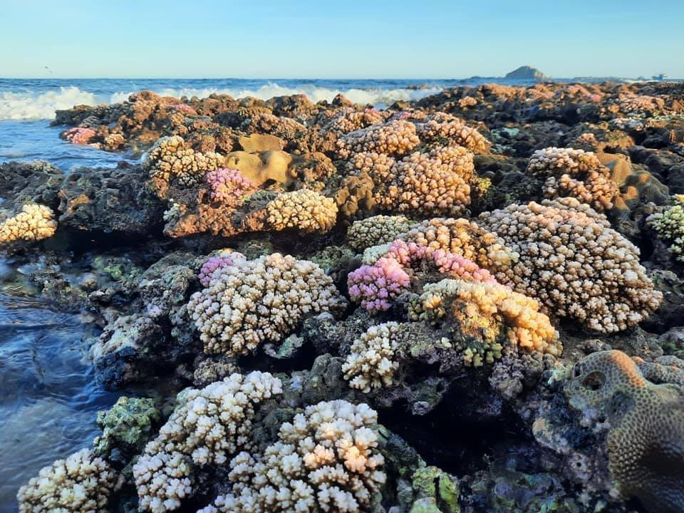 Discover the unspoiled beauty of the coral reef of My Tan beach village