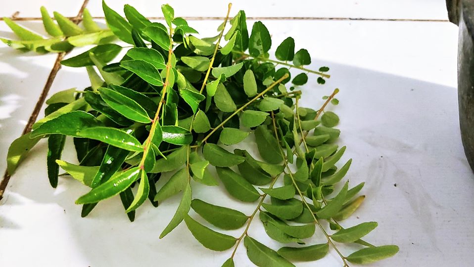 Coming to NINH THUAN, if you have not tried this kind of leaves, you have not called it to know all the local food of Phan Rang