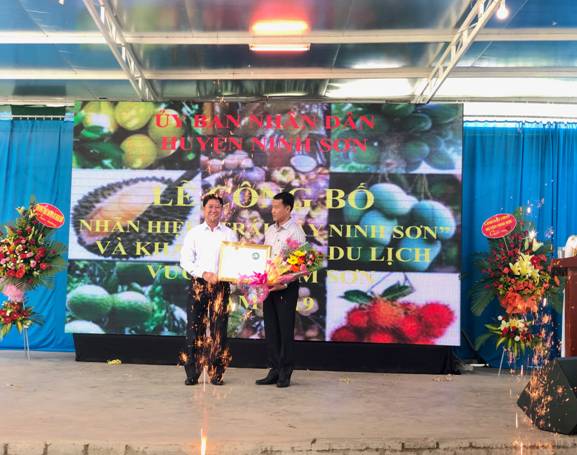 Ninh Thuan: Announcing the certificate of "Ninh Son Fruit" trademark and the Opening Ceremony of Lam Son Fruit Garden Tourism 2019